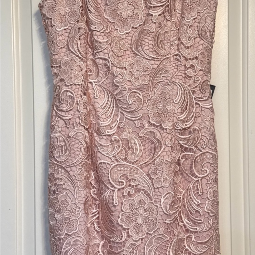 Adrianna Papell Blush Lace Midi Dress Size 8 NWT